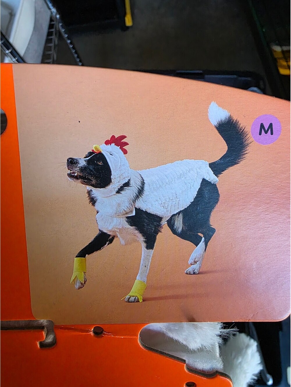 Medium Size Dog Chicken Costume for Dogs Up to 40 lbs